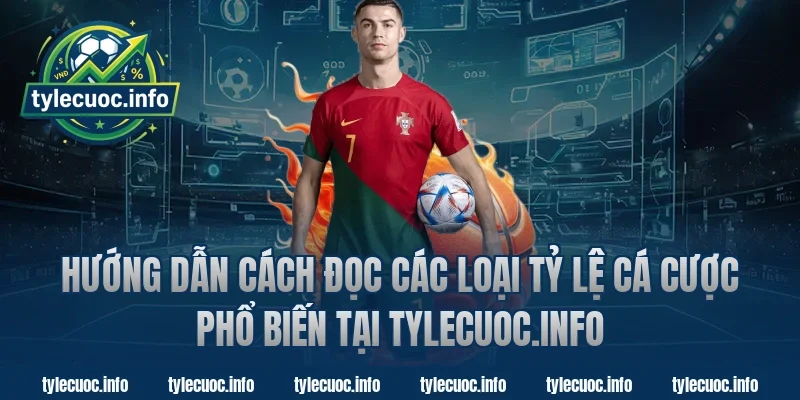 Hướng dẫn cách đọc các loại tỷ lệ cá cược phổ biến tại Tylecuoc.info
