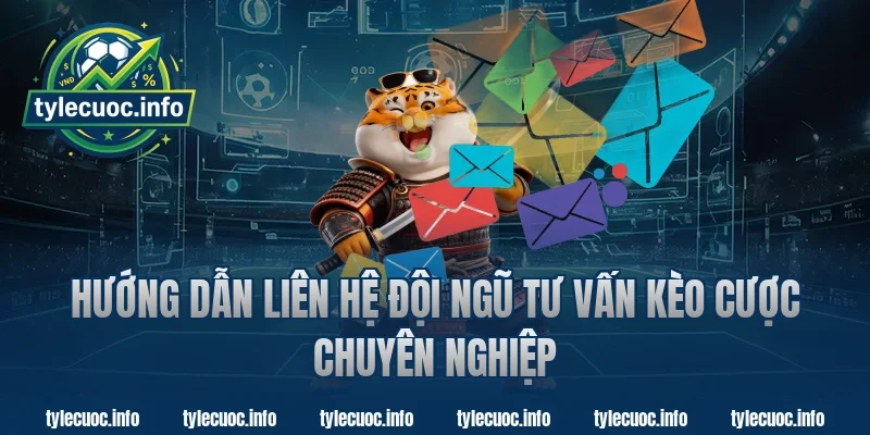 Hướng Dẫn Liên Hệ Đội Ngũ Tư Vấn Kèo Cược Chuyên Nghiệp
